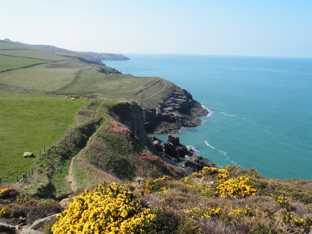 Fern Villa B&B Fishguard Bagian luar foto