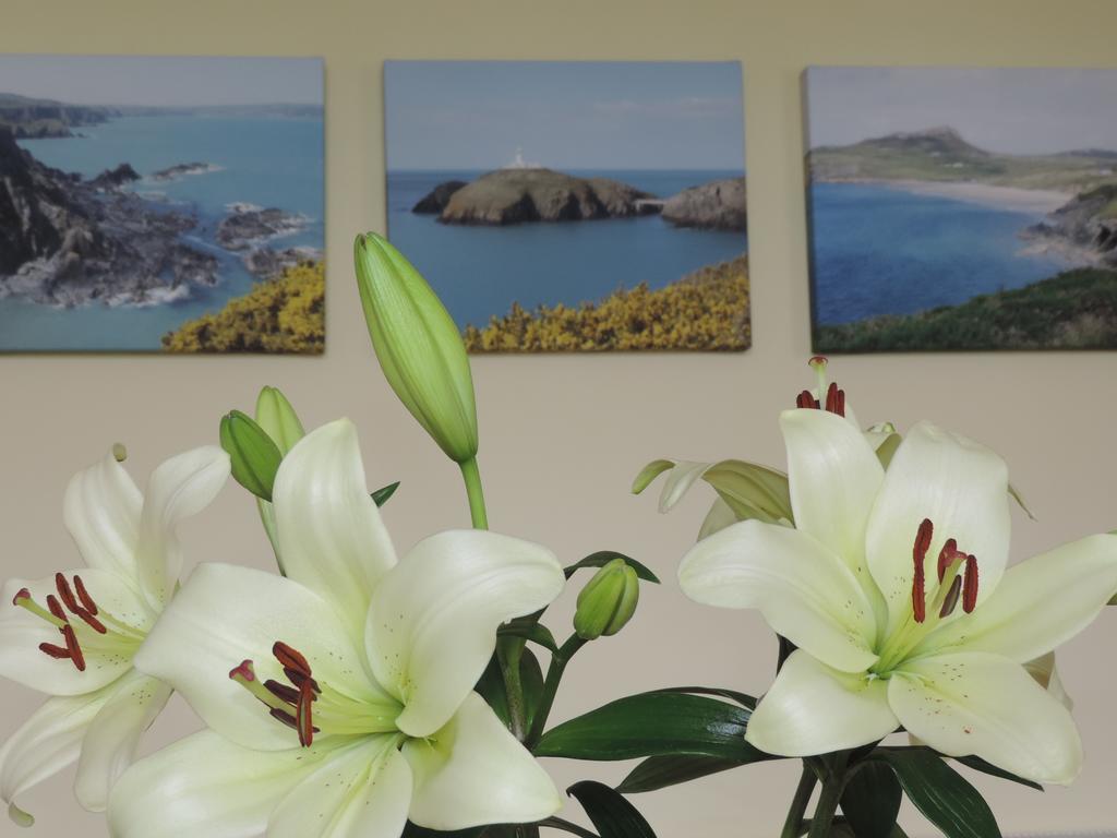 Fern Villa B&B Fishguard Bagian luar foto