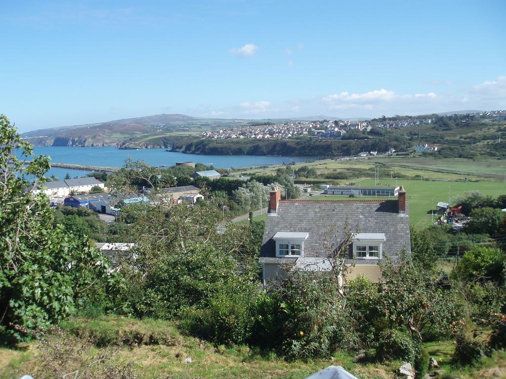 Fern Villa B&B Fishguard Ruang foto